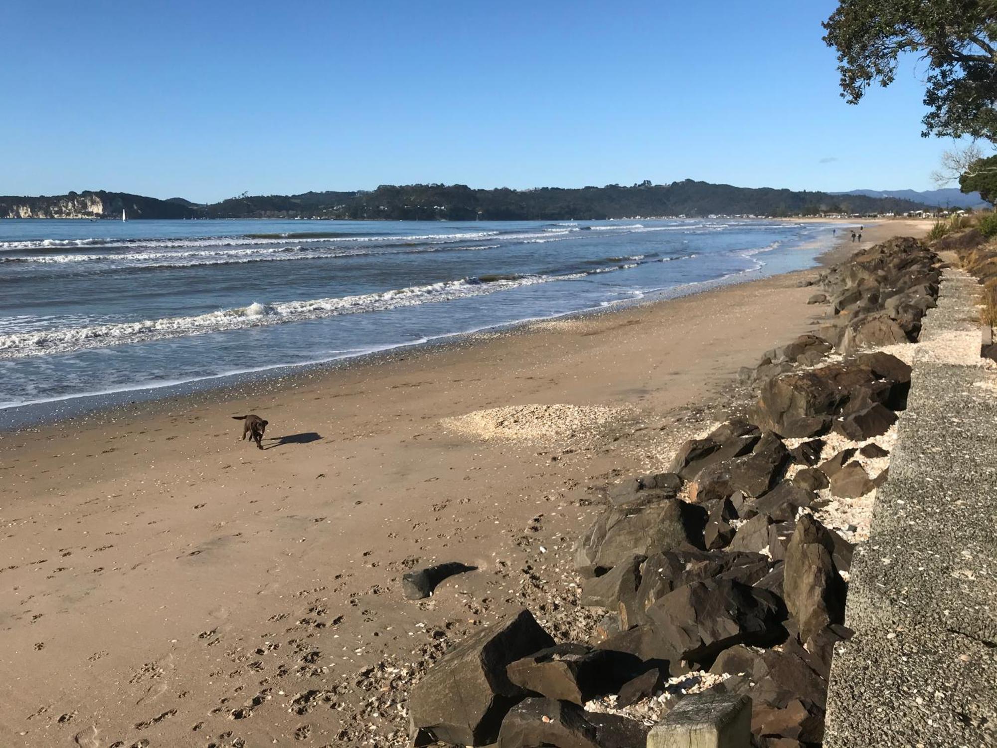 Whitianga Campground Zewnętrze zdjęcie